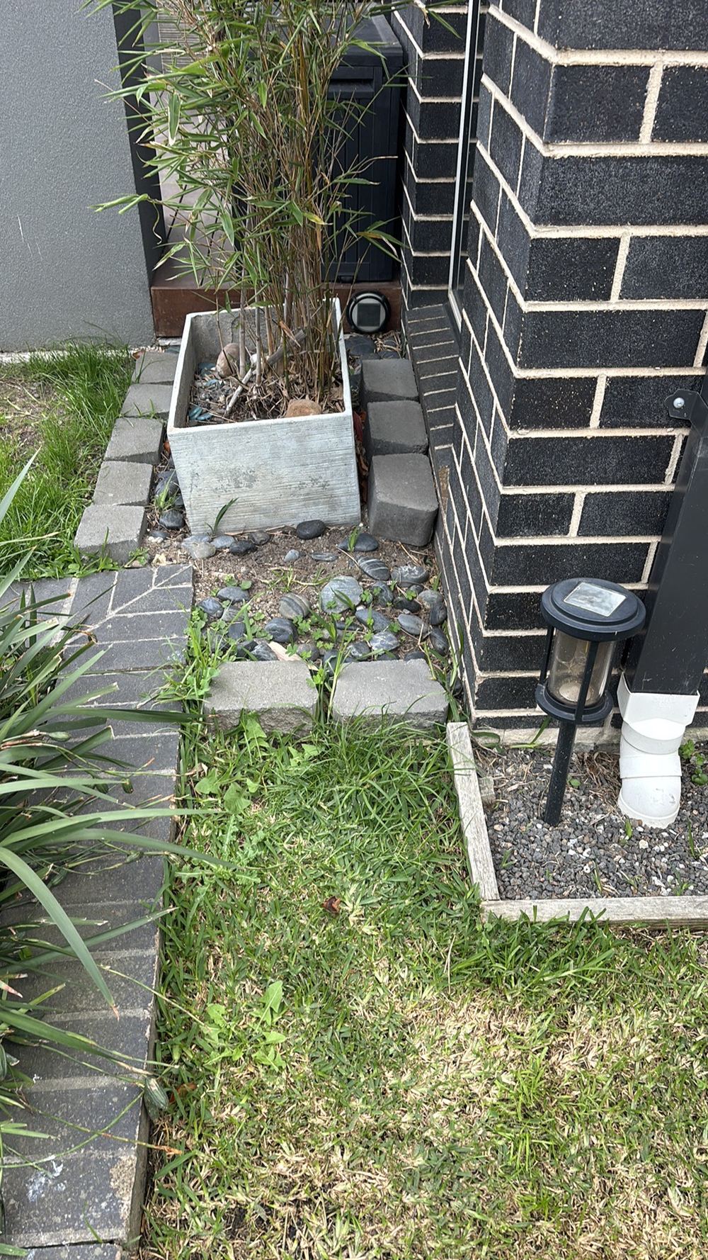 Keeping a Deanside termite barrier working