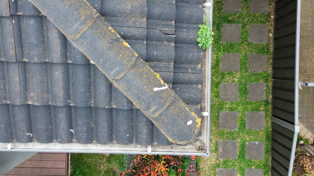Pre-purchase or building and pest for a Deanside home?