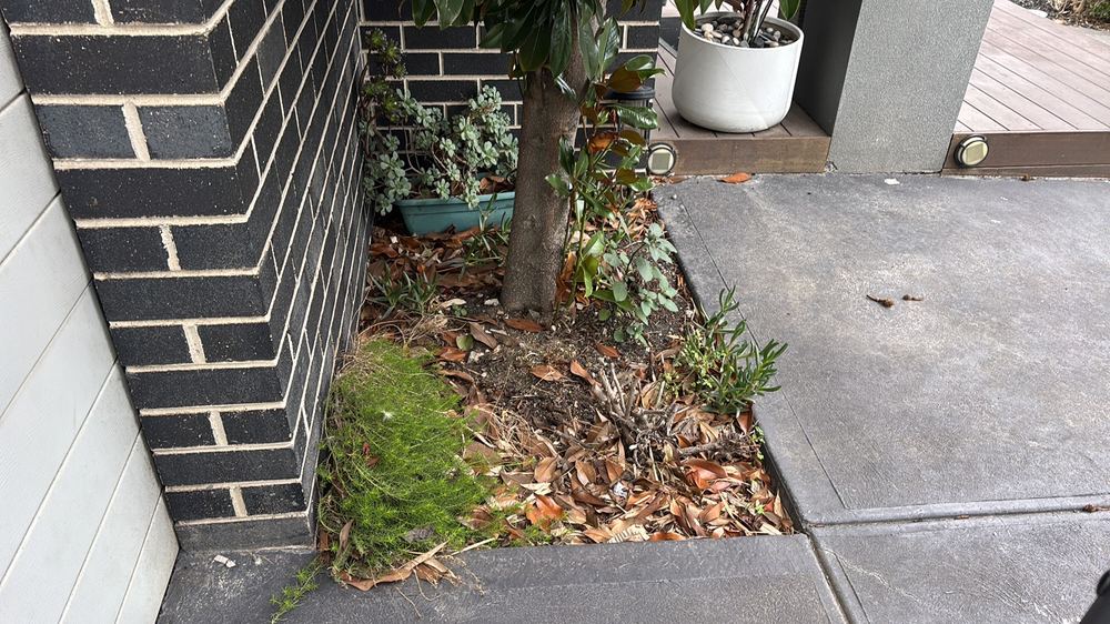 Water at the walls: drainage items in Deanside resales