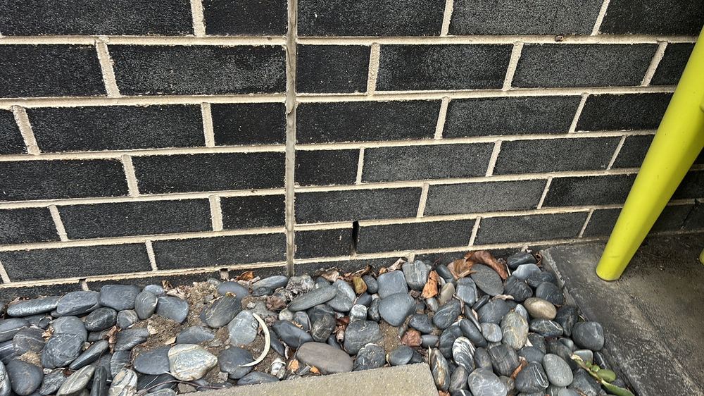 Weep holes sitting too close to the ground, inviting damp into the wall, found during a pre-purchase inspection in Braybrook