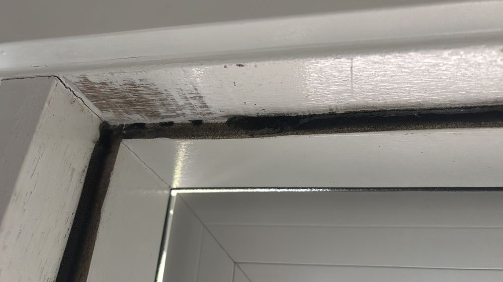 Leasing a new Deanside house for the first time
